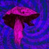 Фото профиля Ickyray