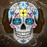 TotoMex's profile picture