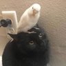 HeadBomba profil fotoğrafı