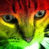 tom^ˢᶠᶜ profil fotoğrafı