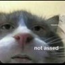 Paul 🥱 profil fotoğrafı