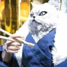 都築淑敬's profile picture