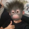 pedru™️ profil fotoğrafı