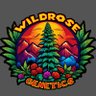 Profilbild von Wildrose Craft Cannabis