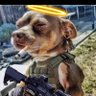 David Firulais Rabioso's profile picture