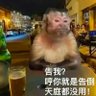 Profilbild von 芩岚