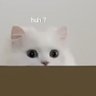 sdkhjsgkjhdfgjklh's profile picture
