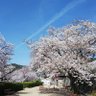 べっじ profil fotoğrafı