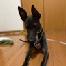 konan profil fotoğrafı