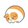 Profilbild von 中道諒