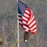 Real American's profile picture