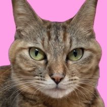 Lu24_na's profile picture