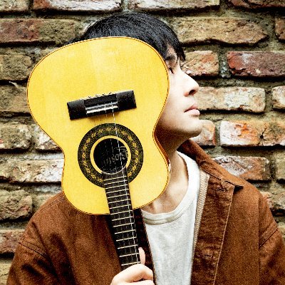 shugotokumaru's profile picture