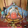 Om Yadav 的头像