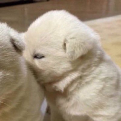 2bbunhui's profile picture