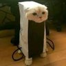 天竺鼠車車's profile picture