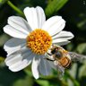 rahiq profil fotoğrafı