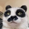 Profilbild von jjjaek