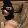 Dylan Schulz's profile picture