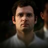 Professional Sevak's profile picture