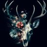 Shu Lalala's profile picture