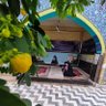 🇵🇸S_Mahsa_h🇮🇷's profile picture