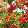 tesheng22 profil fotoğrafı