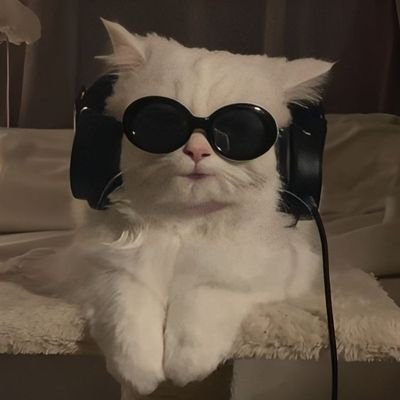 Indra's profile picture