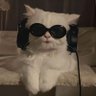 Indra's profile picture
