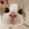 Riotsss 的头像