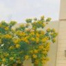 عابرون وَالدُّنْيَا ليست لنا profil fotoğrafı