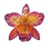 Profilbild von flor de tangerina
