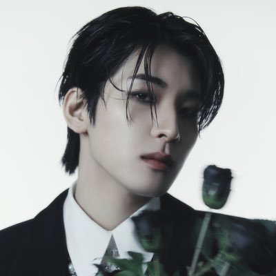 717wednesday's profile picture