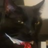 Jinx profil fotoğrafı