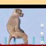 🫣Professor profil fotoğrafı