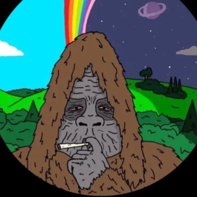 Quan_follwers's profile picture