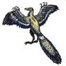 Profilbild von Dr Archaeopteryx