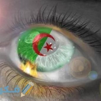 FatmaLaou's profile picture