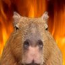 די כבר profil fotoğrafı