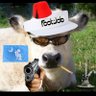 hank the implementationdog (Sean Brothman) 的头像