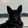 Captrogo profil fotoğrafı