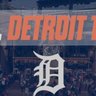 Profilbild von D The Tigers Fan