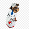 Profilbild von ZRun