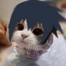 Profilbild von 泥豪!