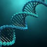 Фото профиля Bioalnajm133