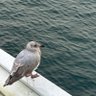。。。's profile picture