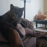 BADatspelling's profile picture