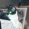 Profilbild von LoreW✝️