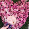 Фото профиля ゆみ🍀不動産王ℒℴѵℯ(„˃ ⌑ ˂„)❤︎*˚