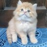 liwanag sa dilim profil fotoğrafı